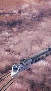 Sitting train to travel