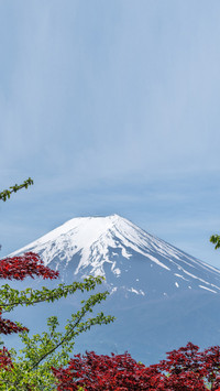 Mount Fuji (5)