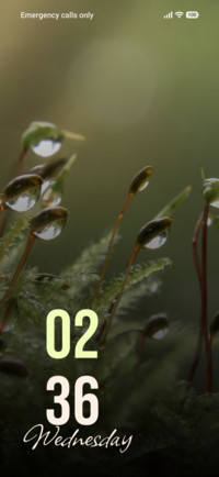 Moss Whisper