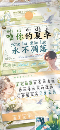 唯你的夏季永不凋落