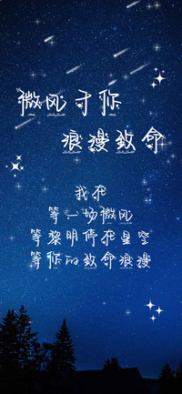 微风于你浪漫致命