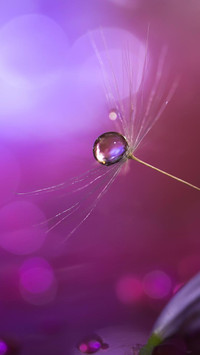 raindrops (4)