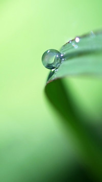 raindrops (13)