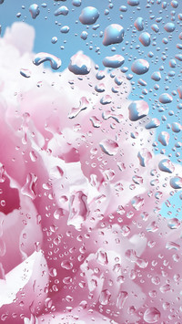 raindrops (18)