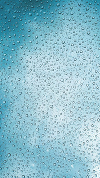 raindrops (17)