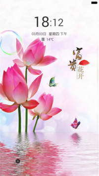 富贵花开（气泡动态+桌面动态）