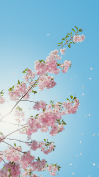 Floral (1)