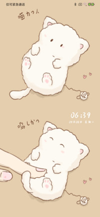 可爱猫咪