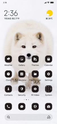 Arctic Fox