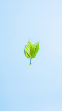 简约小清新简单背景好看壁纸-锐景创意