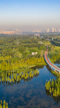 The morning light of bailuwan wetland is fleeting