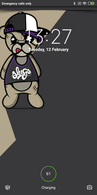 Bear