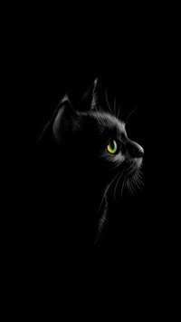 黑猫先生-拍信图库