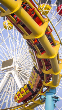 Such people should not ride roller coasters 12