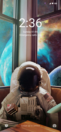 Astronaut On Trip