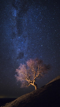 PAIXIN-scenery (2)