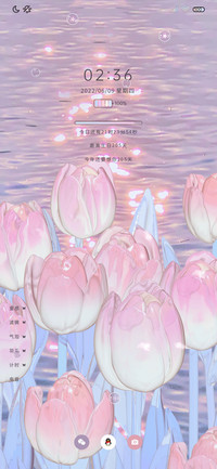 郁金香 等风归