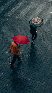 Walking in the rain 81