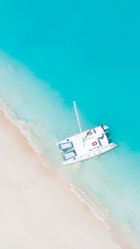 Bird's eye View (5)