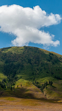 Original Bromo Volcano East Java Indonesia