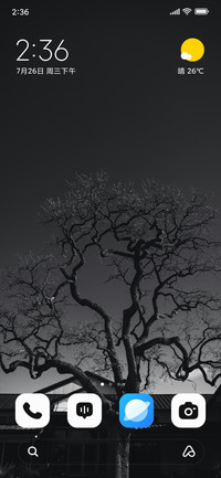 Shadow Leaf