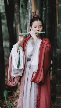 竹林俏影-锐景创意