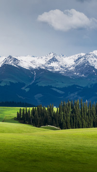 Spring Scenery of Kalajun Grassland in Yili, Xinjiang