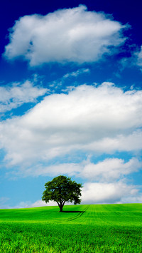 Comic Sky