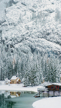 White head the end of the world falling snow and returning h