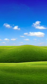 Natural grassland