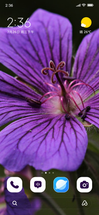 Mystic Bloom