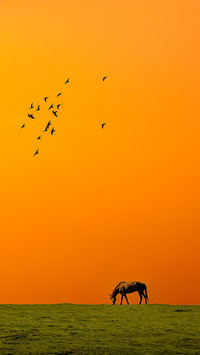 Allow the days to grow slowly