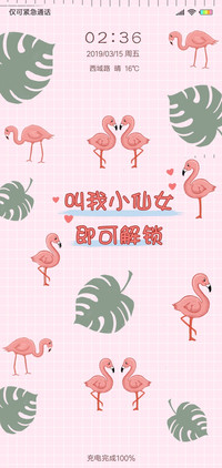 仙女火烈鸟J