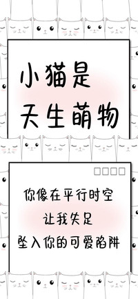 小猫是天生萌物