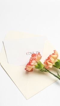 Envelope of Affection, Pink Carnations Whisper