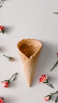 Creative Foods-PAIXIN