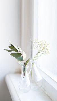 Two vases with dry branches on white windowsill