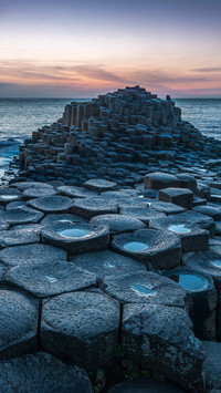International-landscape (2)