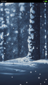 冬雪