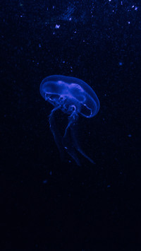 133988_1440x2560.jpg