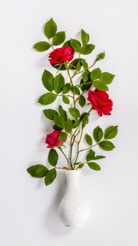 flowers-03