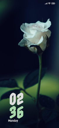 Delicate White