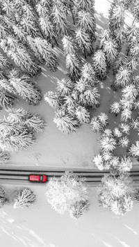 Winter wallpaper-13