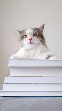 Characteristics of severe cat loving patients