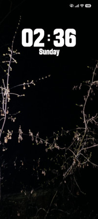 Starry Haze