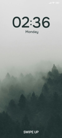 Mystic Canopy