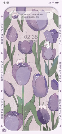 紫色浪漫郁金香