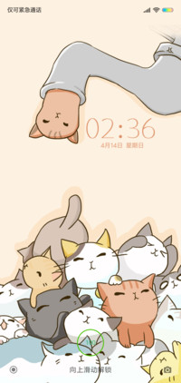 猫咪团子