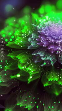 花开半夏