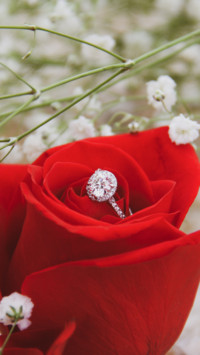 Propose Day (6)